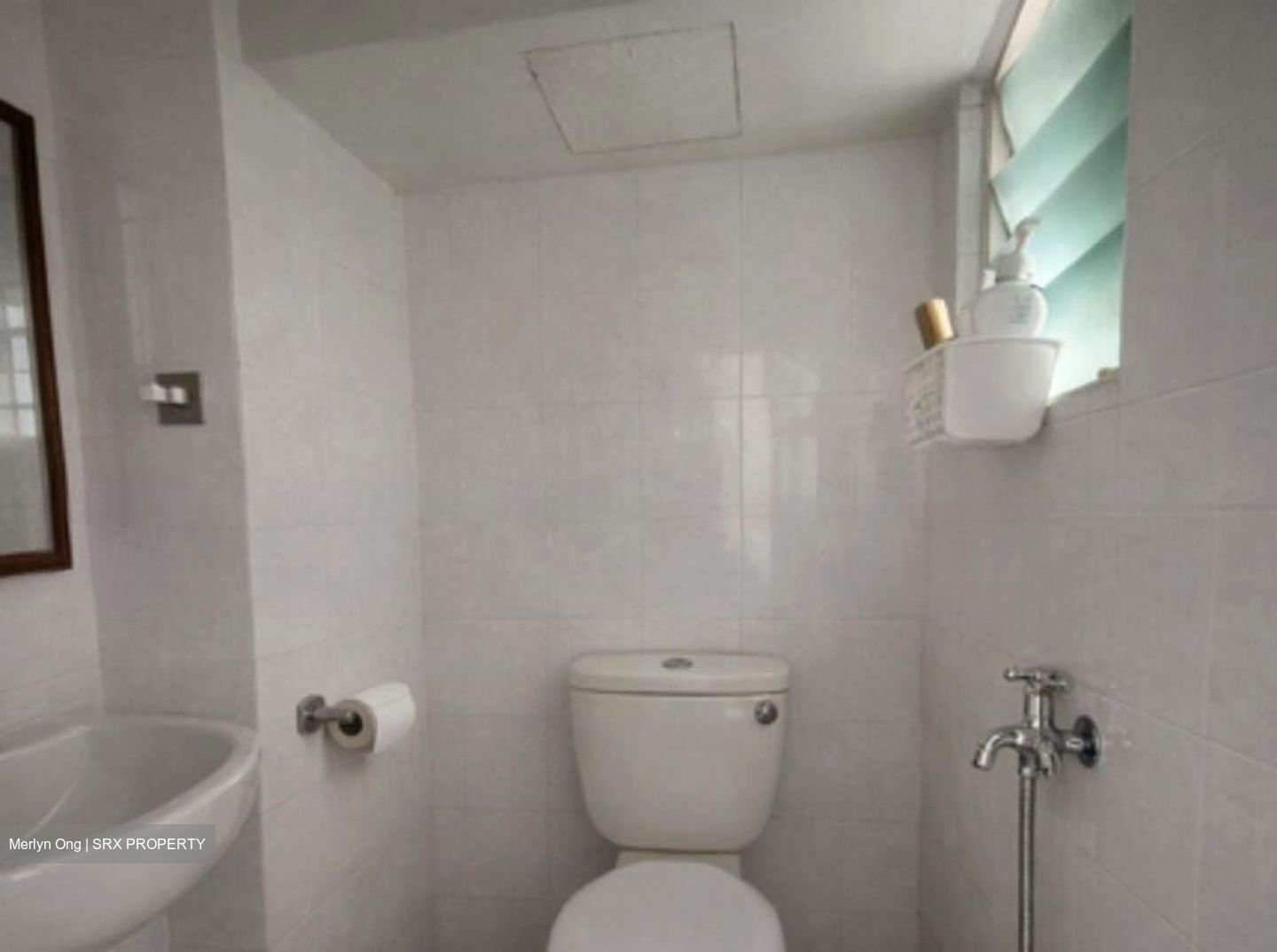 Melville Park (D18), Condominium #523860461